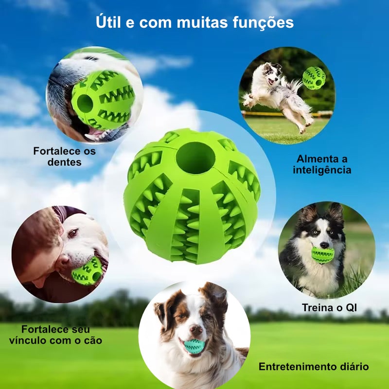 Kit com 3 Bolinhas porta petiscos Pet e rações para enriquecimento ambiental para Cachorro