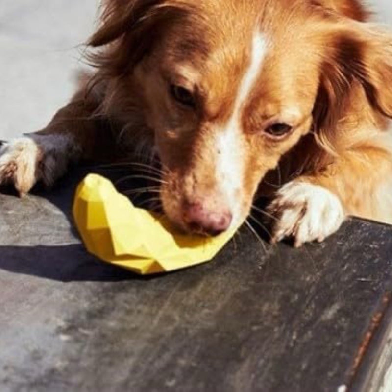 Brinquedo Pet Recheável Interativo Comedouro Lento Banana para Cachorro