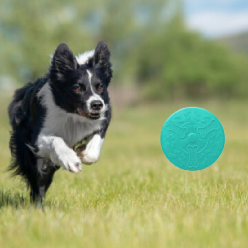 Frisbee Disco Cachorro Fluffie Pet emborrachado não rígido para Cachorro porte médio e grande Verde