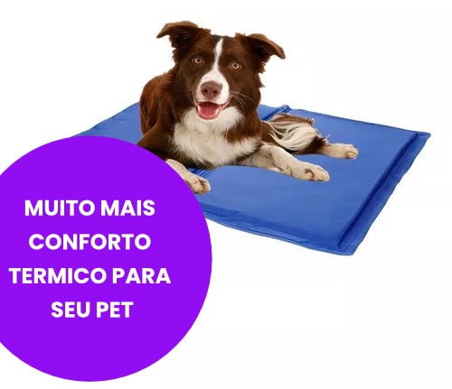 Tapete Gelado para Pet Cachorro Grande 50 x 65 cm Refrescante e Costura Reforçada